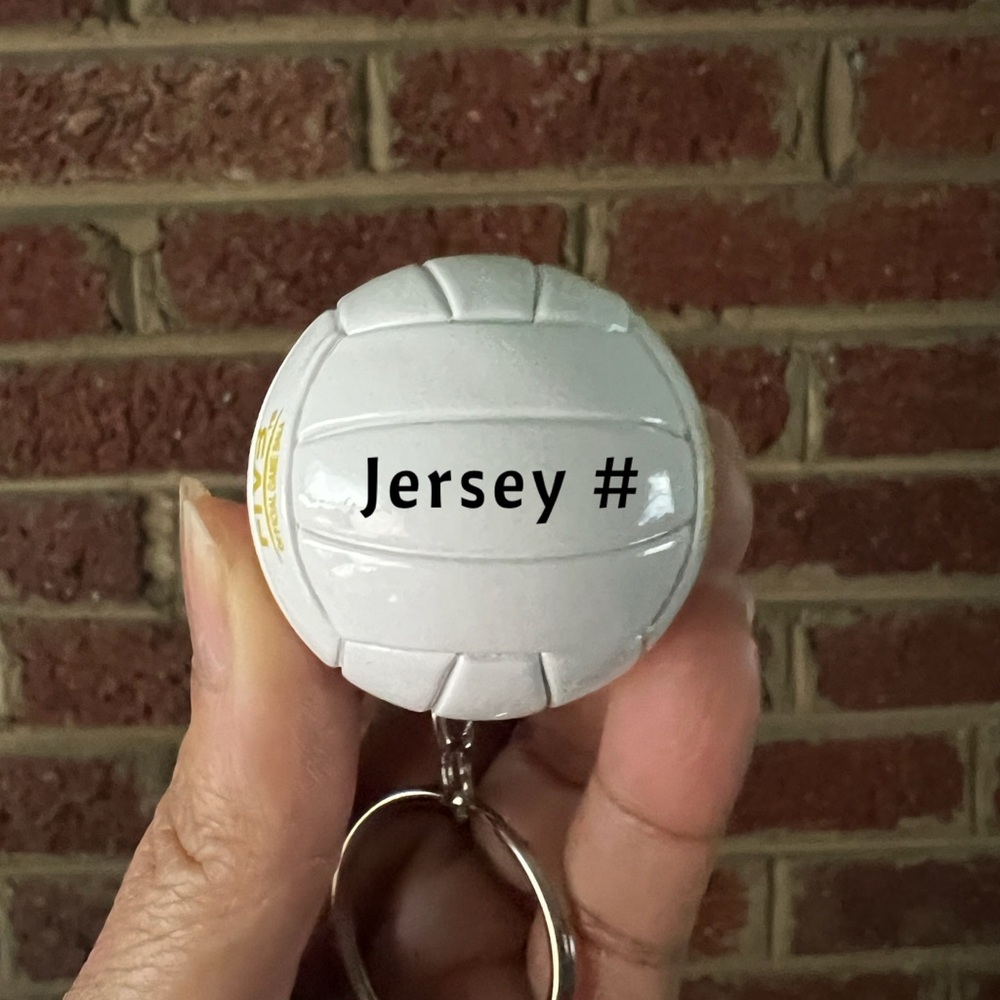 Lot of 7- Personalized Miniature Volleyball